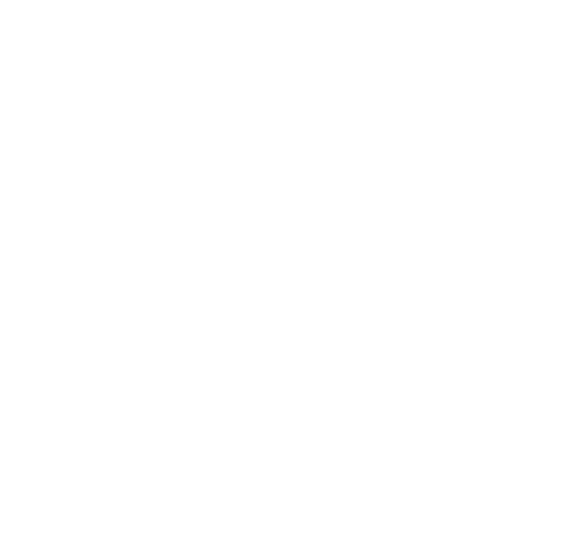 Southern Electric of Virginia